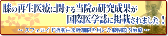 スフェロイド脂肪由来幹細胞を用いた膝関節内治療